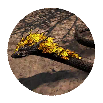 Golden Leaf Snake