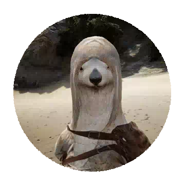 Shapio