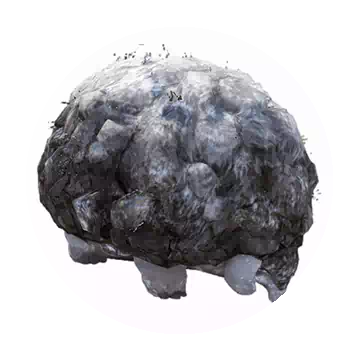 Takium