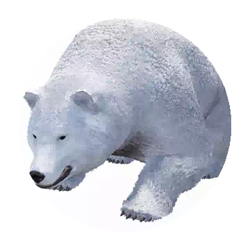 Winter Bear