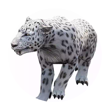 Snow Leopard