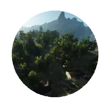 King's Forest