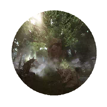 Treant Forest