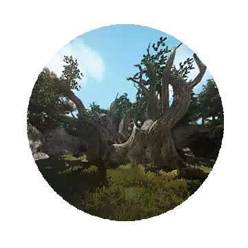 Rhua Tree Stub