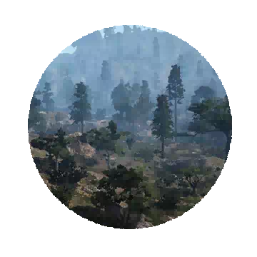 Tungrad Forest