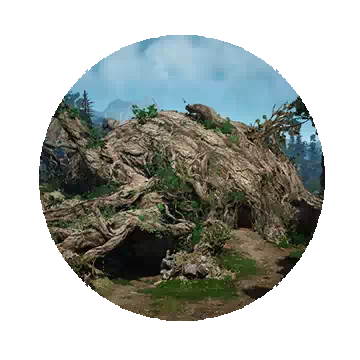 Old Wisdom Tree