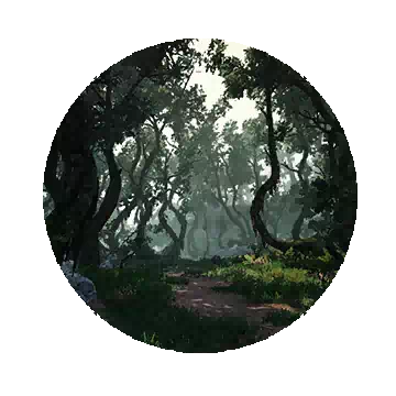 Loopy Tree Forest