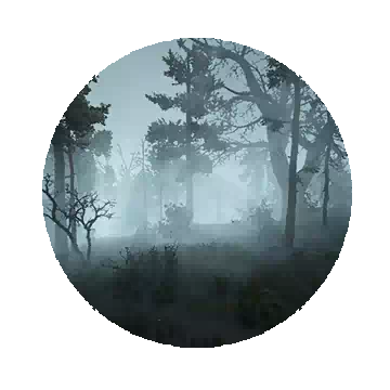 Ash Forest