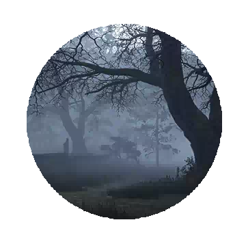 Dang Forest
