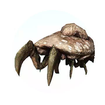 Stoneback Crab