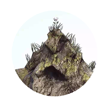 Acid Spider Den