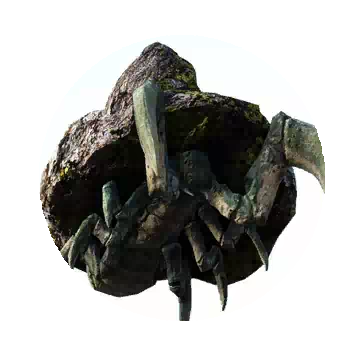 Moss Stoneback Crab