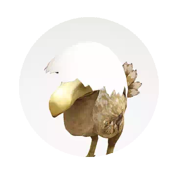 Kuku Hatchling