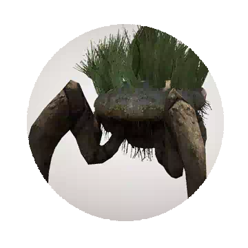 Grassback Crab