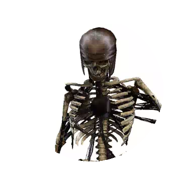 Skeleton