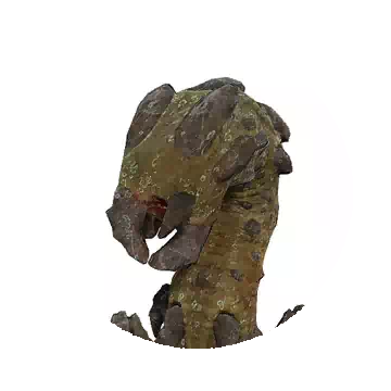 Calpheon Worm