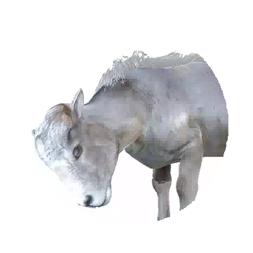 Mountain Lamb
