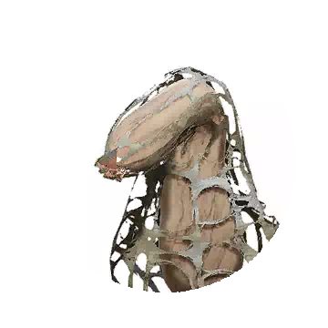 Cave Flytrap Worm