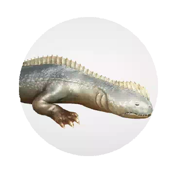 Blue Lizard