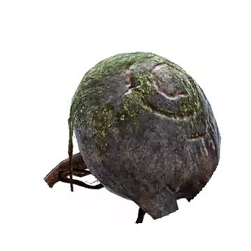 Ruins Spider