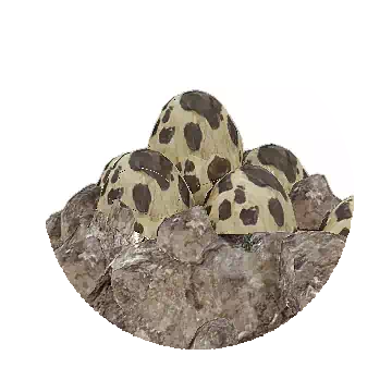 Waragon Egg