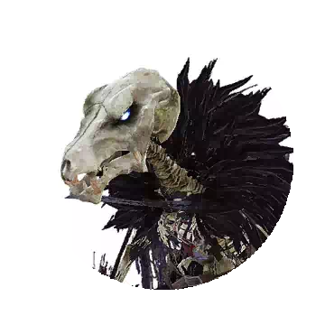 Skeleton Lizard