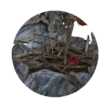 Mansha Trap