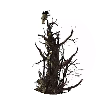 Witch Tower