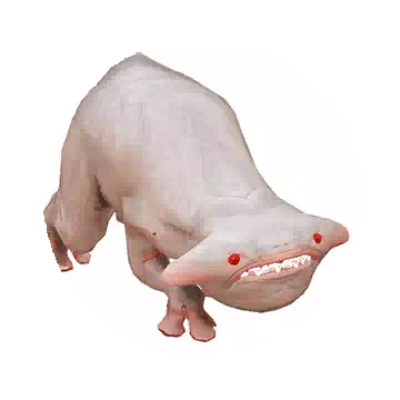 Medium-sized Glutoni