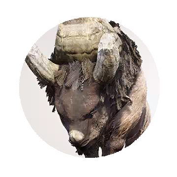 Rock Head Bison