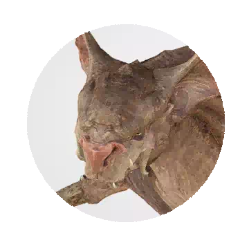 Mutant Gargoyle