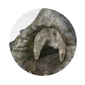 Ambushing Stone Spider