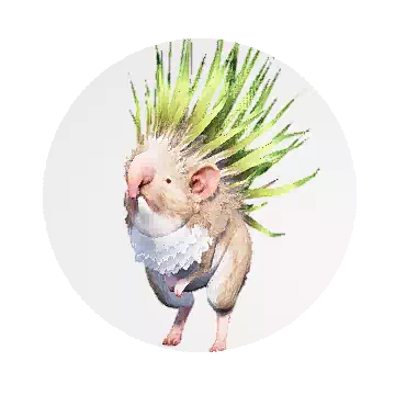 Grass Hedgehog