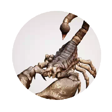 Desert Scorpion