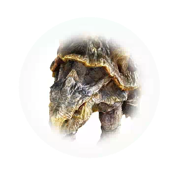 Margos