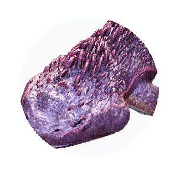 Hekaru