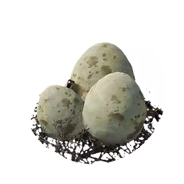 Griffon Egg