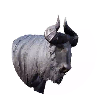 Water Buffalo