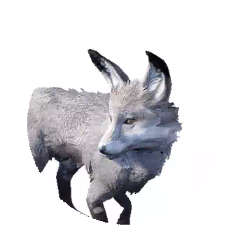 Silver Fox