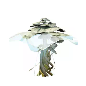 Cotton Bubble Mushroom