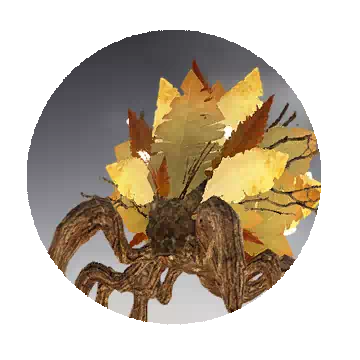 Leaf Spider
