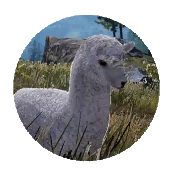 Llama