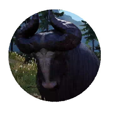 Yak