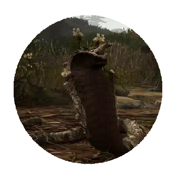 Stone Cobra