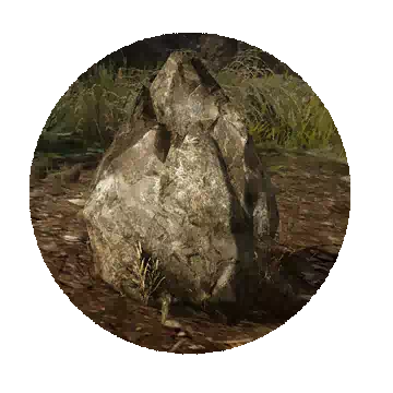 Sharp Stoneback Crab