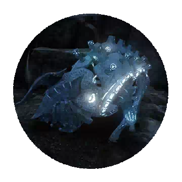 Kimel