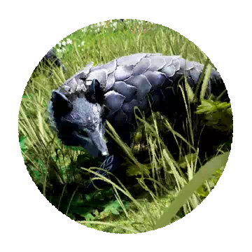 Shadow Wolf