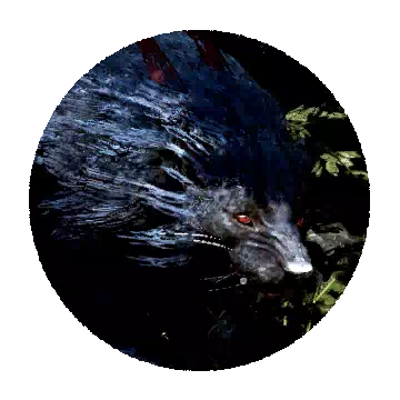 Shadow Lion