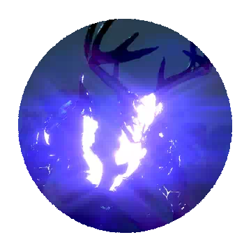 Saigord